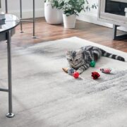 christmas cat toys gift guide