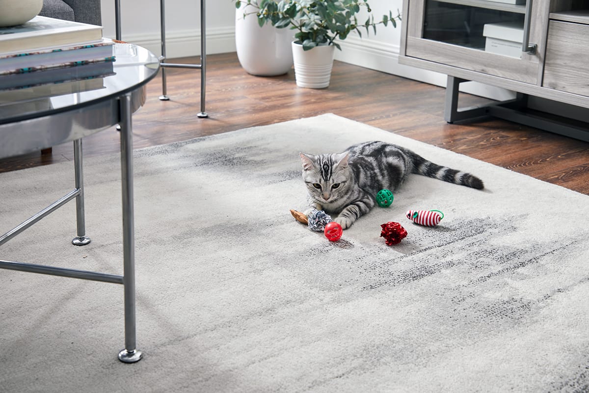 2022 Holiday Gift Guide: Christmas Cat Toys