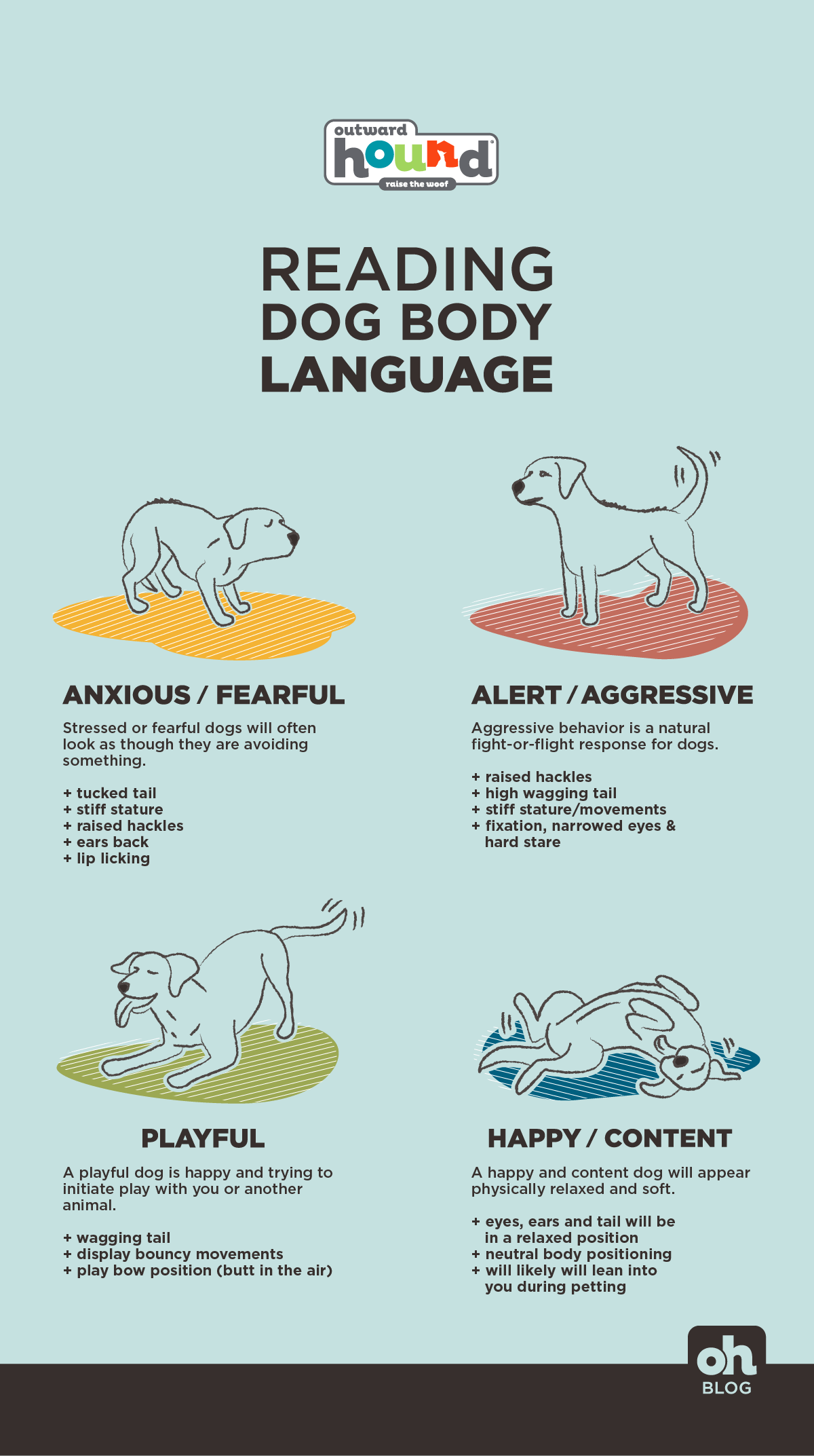 dog body language infogra
