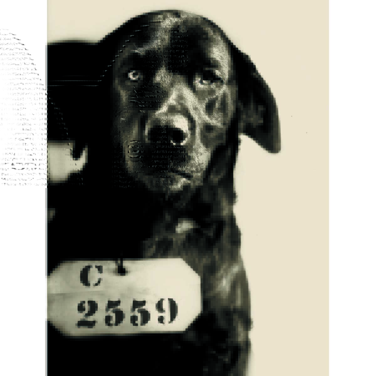 Dog Sentenced to Life Without Parole in Haunted Prison