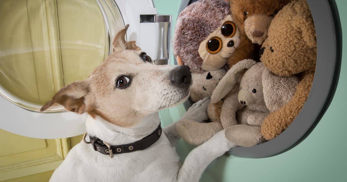 Can You Wash Dog Toys in the Washing Machine?