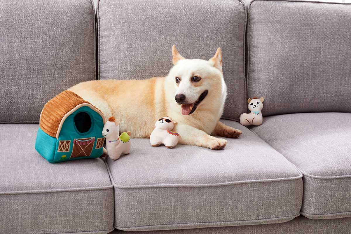 hide and seek dog toys