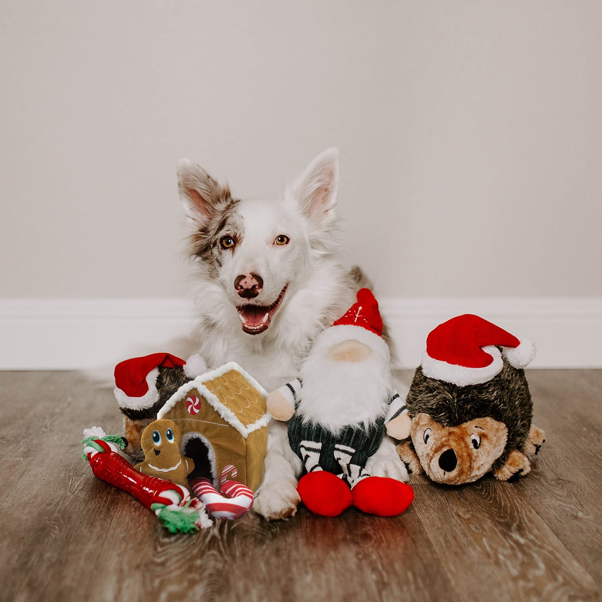 2021 Holiday Gift Guide: Gifts for New Dog Owners