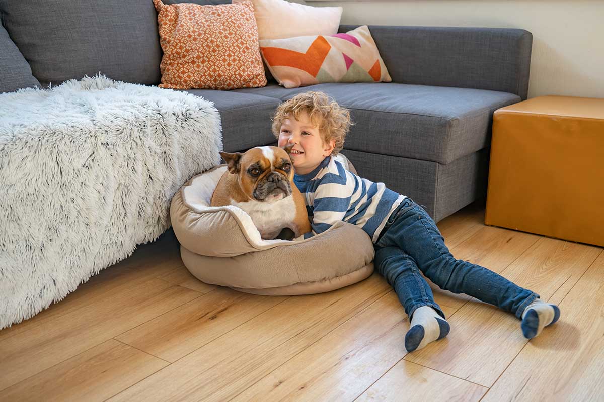 4 Stylish Dog Beds That Won’t Clash with Your Decor