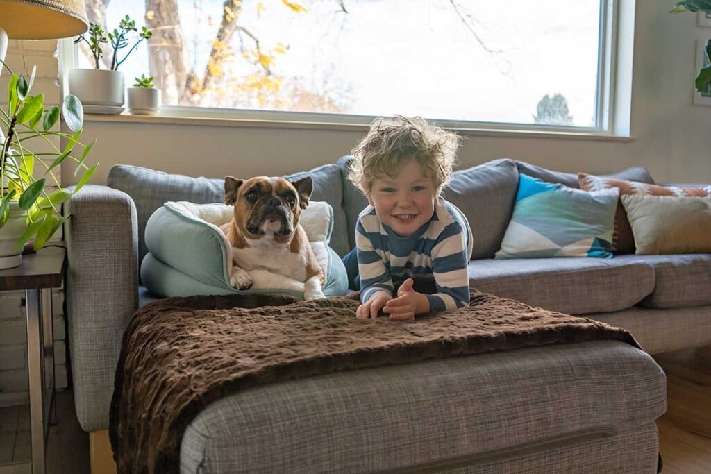 kid and french bulldog