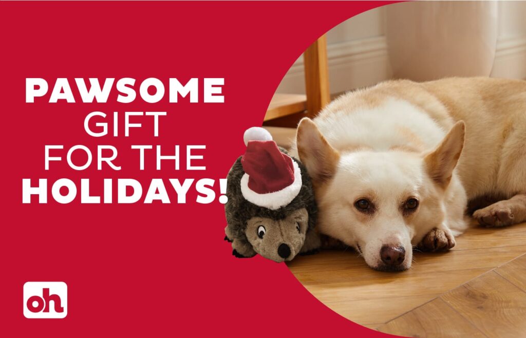 pet gift card concept gifts for pet owners