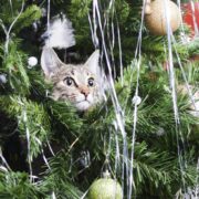 how to keep your cat out of the christmas tree