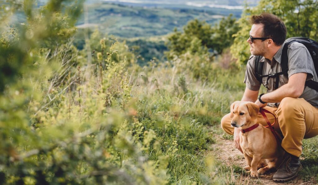 gifts for hikers with dogs