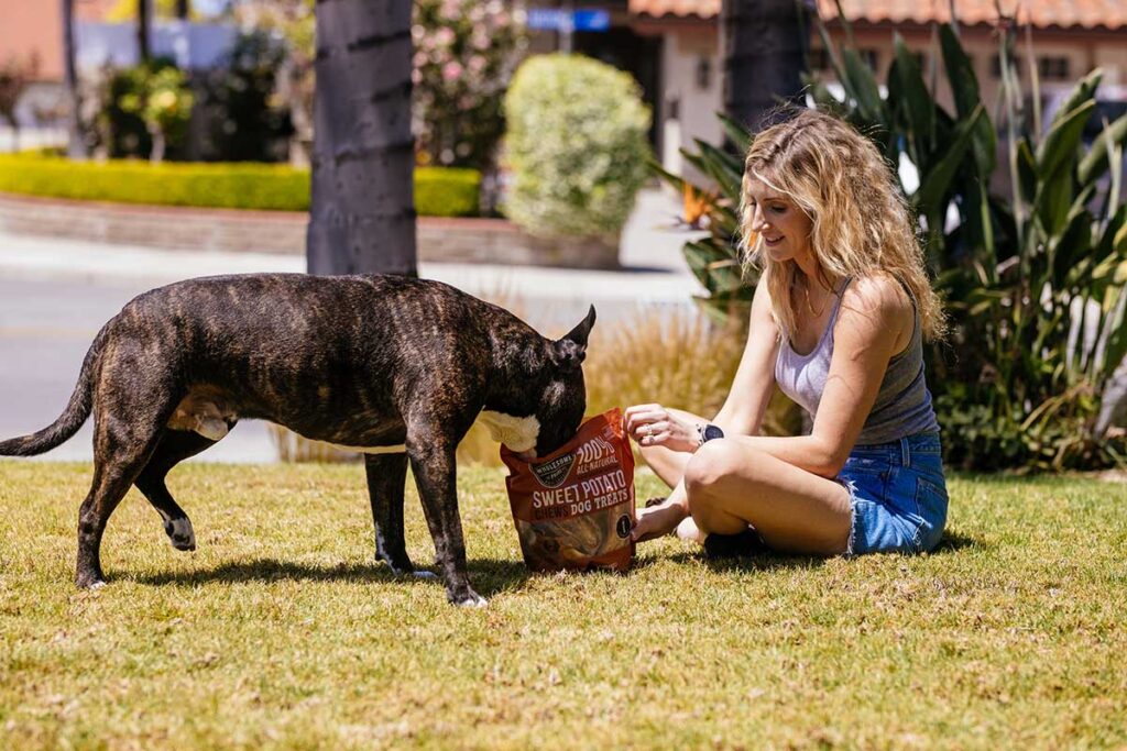 dog with face in treat bag