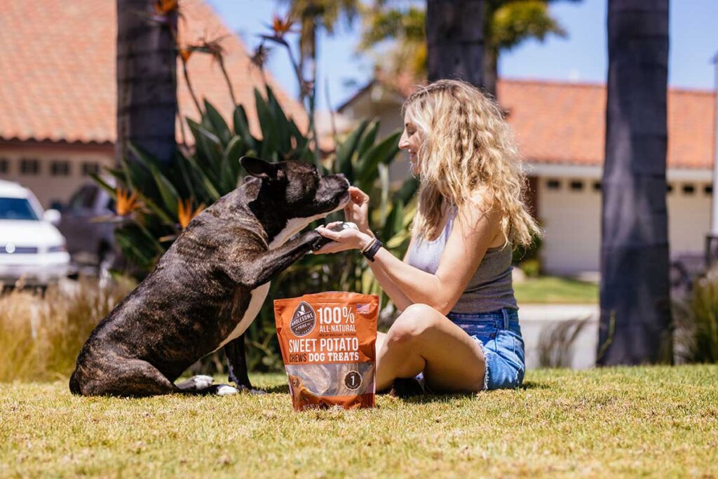 dog training with bag of treats