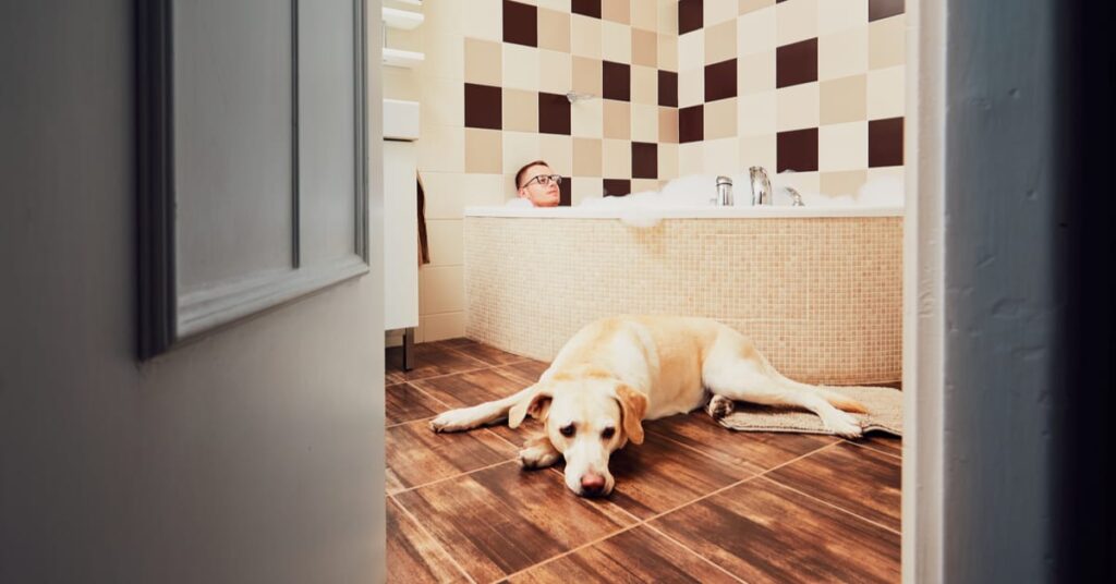 dog next to bathtub. why do dogs follow you to the bathroom?