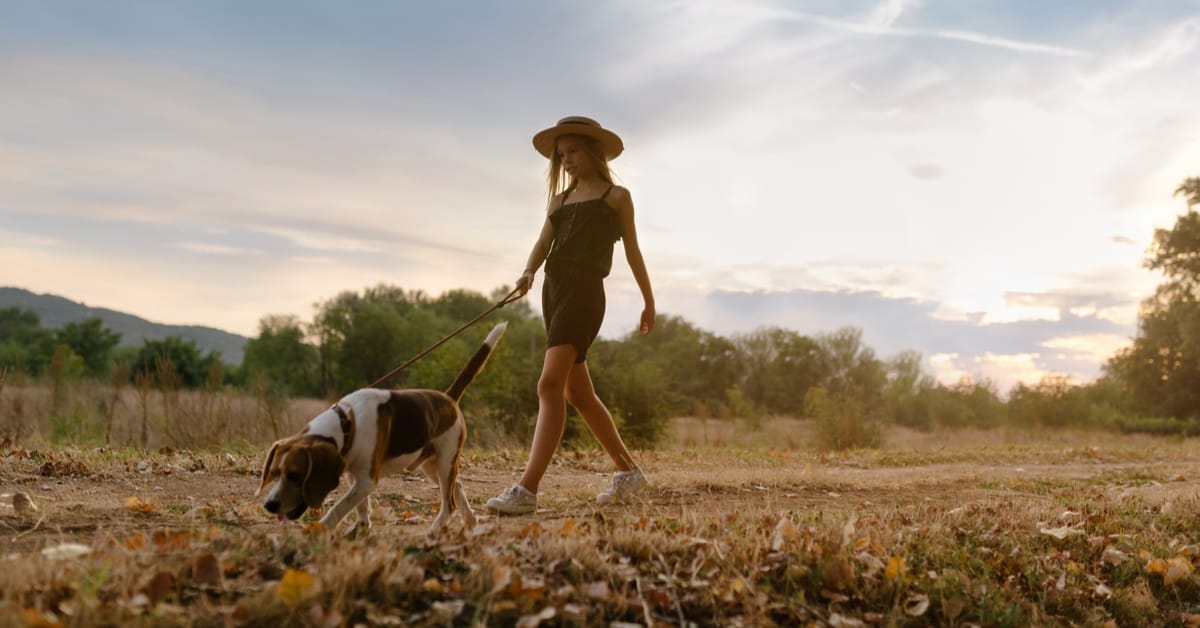 Letting Your Dog Take the Lead: Sniff Walks for Relaxation