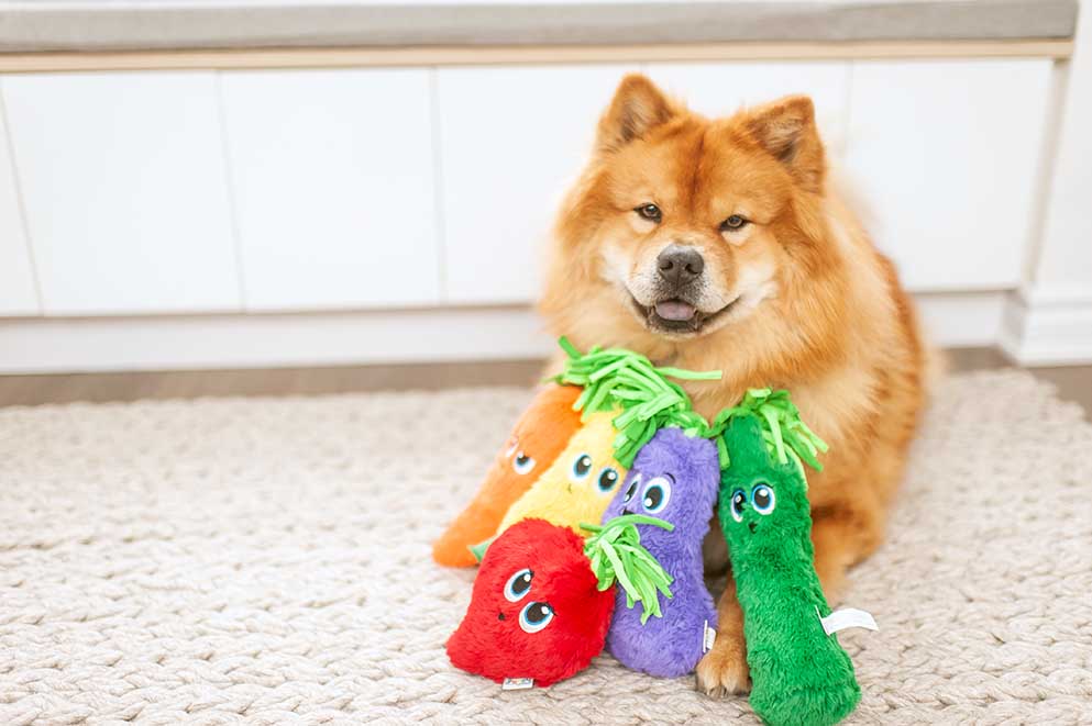 toys for chow chows