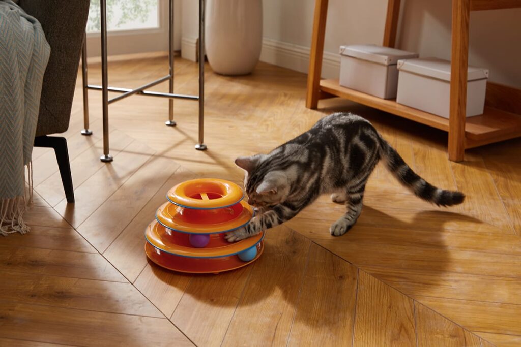cat playing with tower of tracks. best toys for cats