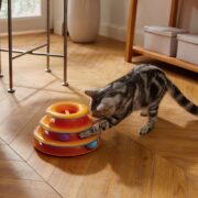 cat playing with tower of tracks. best toys for cats