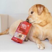 dog with bag of apple treats. dog treats for sensitive stomachs