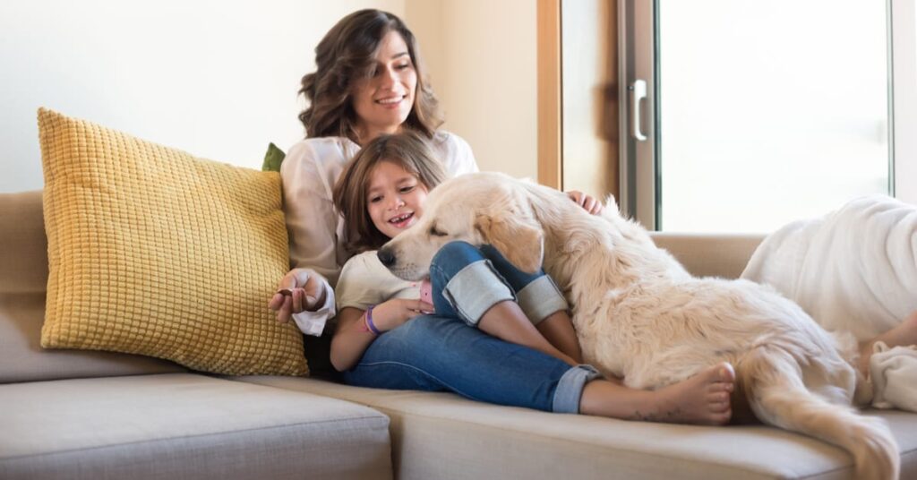 Happy little girl sitting in living room at home, carefully