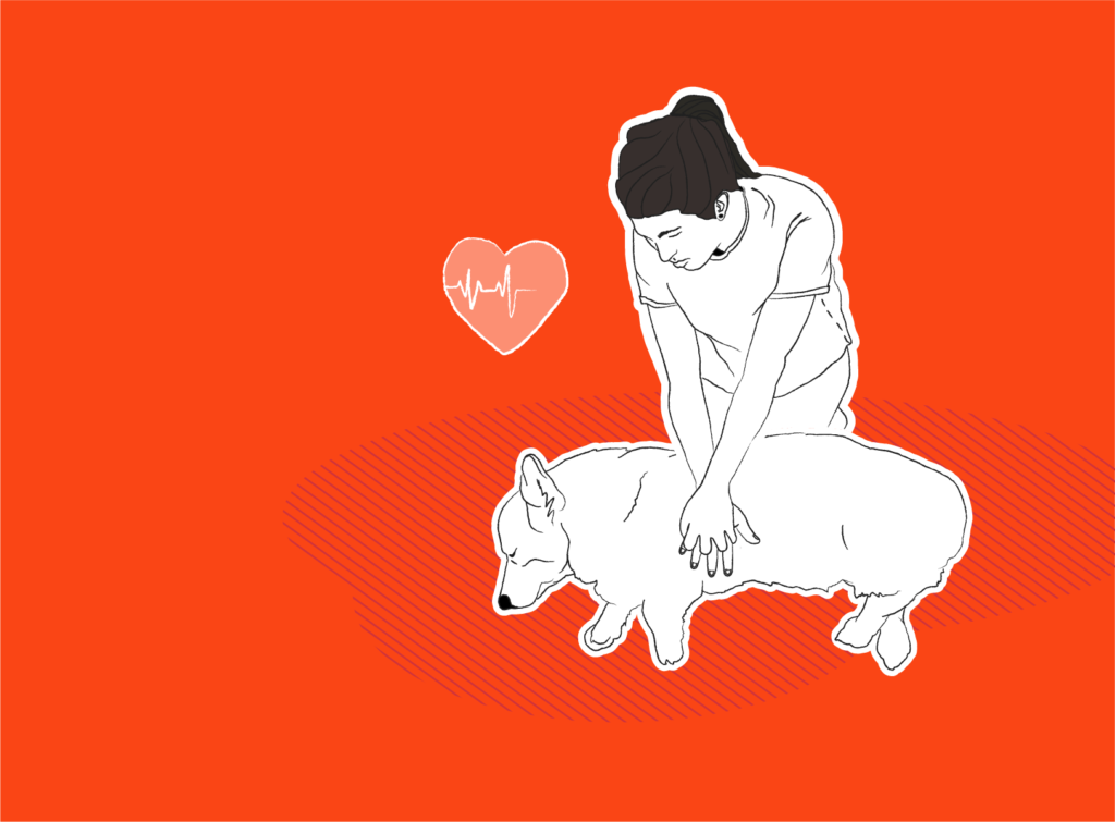 how to perform cpr on a dog