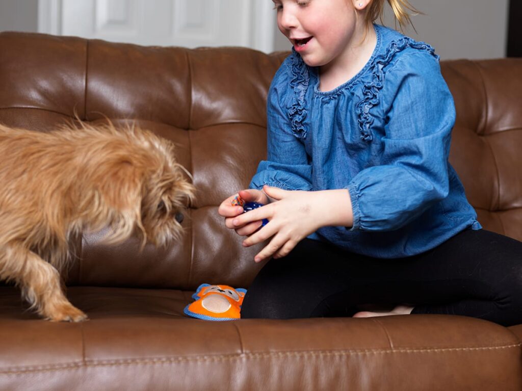 dog and child playing on couch