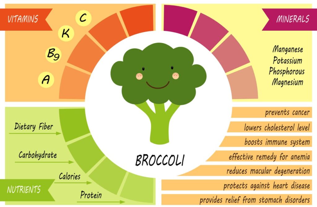 broccoli benefits graphic