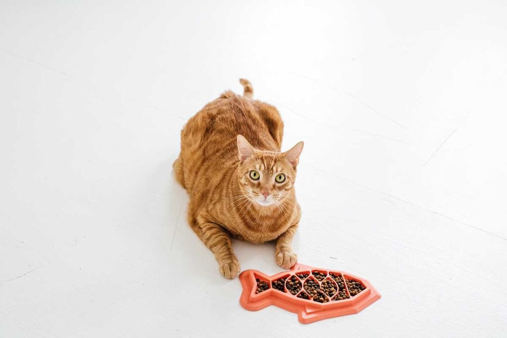 cat slow feeder mat