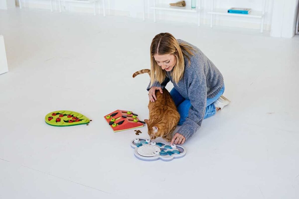 cat and food puzzles. how do you know your cat loves you?
