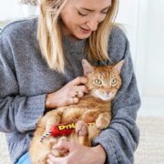 how to find a pet sitter
