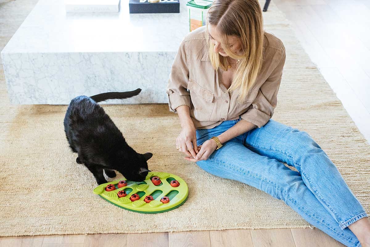 5 Cat Food Puzzle Games for Enrichment – Furtropolis
