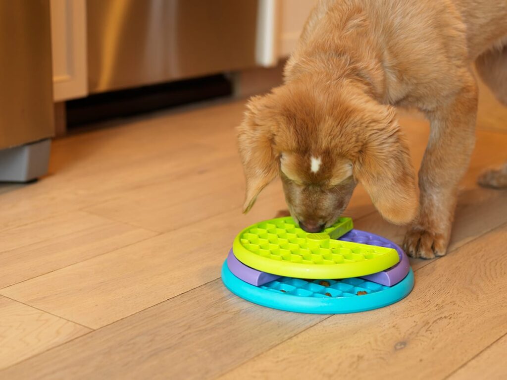 puppy using food puzzle. quiet dog toys