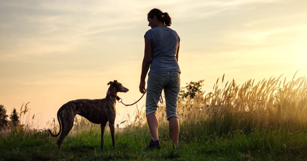 woman and greyhound on walk