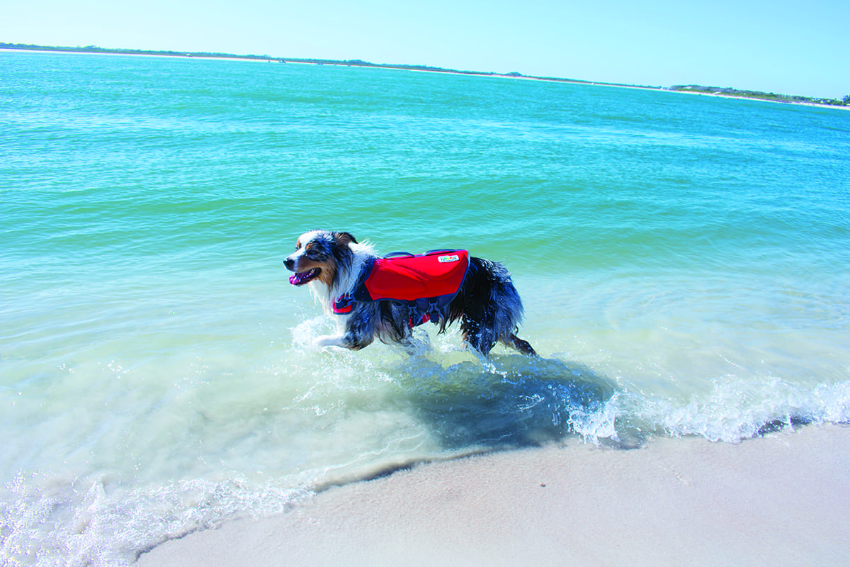 Dog Life Preserver Outward Hound Granby Splash Life Jacket 15-30 lbs.16-20  inch