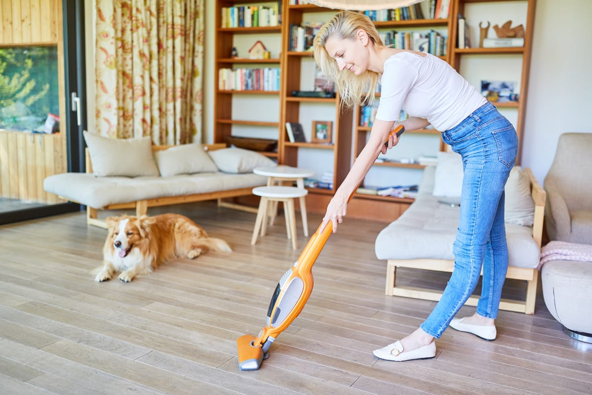 Best Pet-Safe Household Cleaning Products