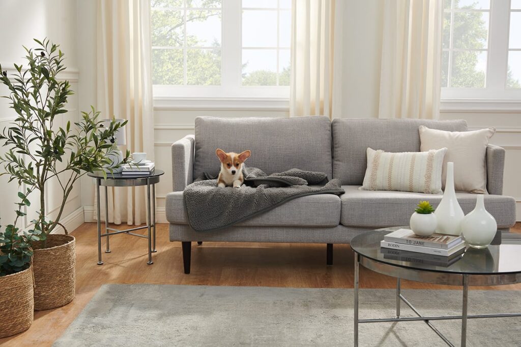 Pet friendly clearance couches