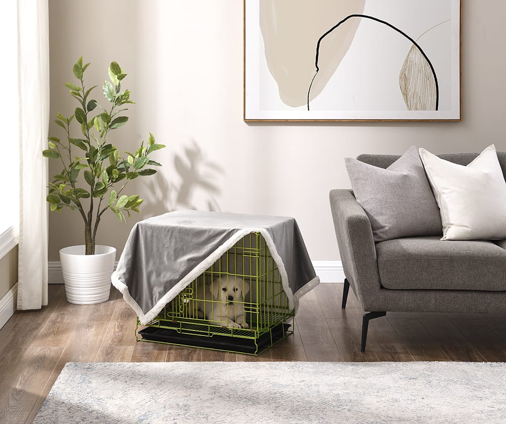 Crate training best sale in bedroom