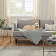 pet-friendly furniture