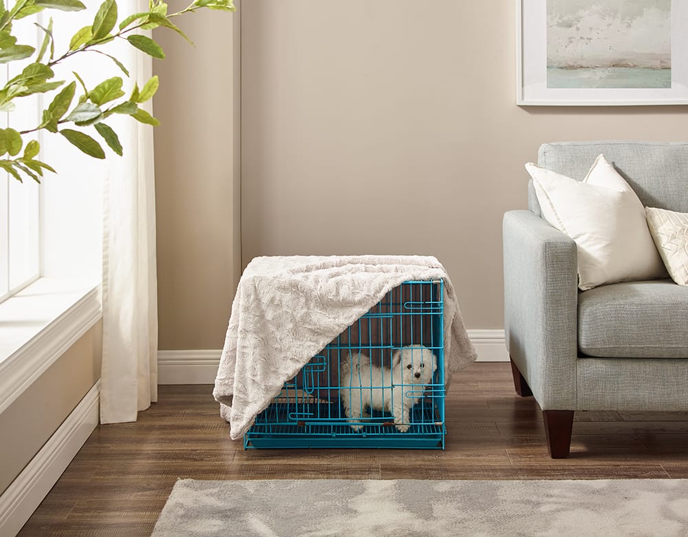 puppy in a blue crate covered with a blanket