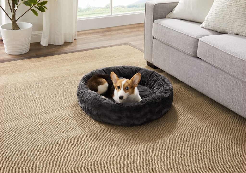 corgi in a calming dog bed
