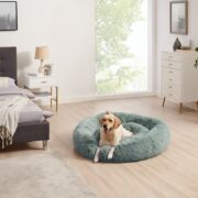 dog on a large donut bed