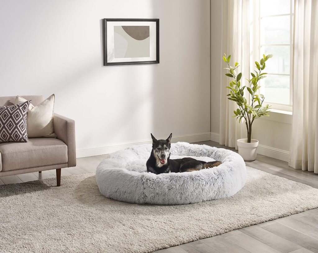 therapeutic dog bed