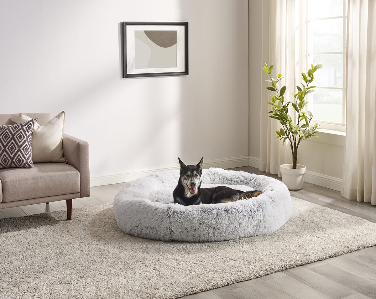 A Therapeutic Dog Bed Can Be a Sleep Game Changer