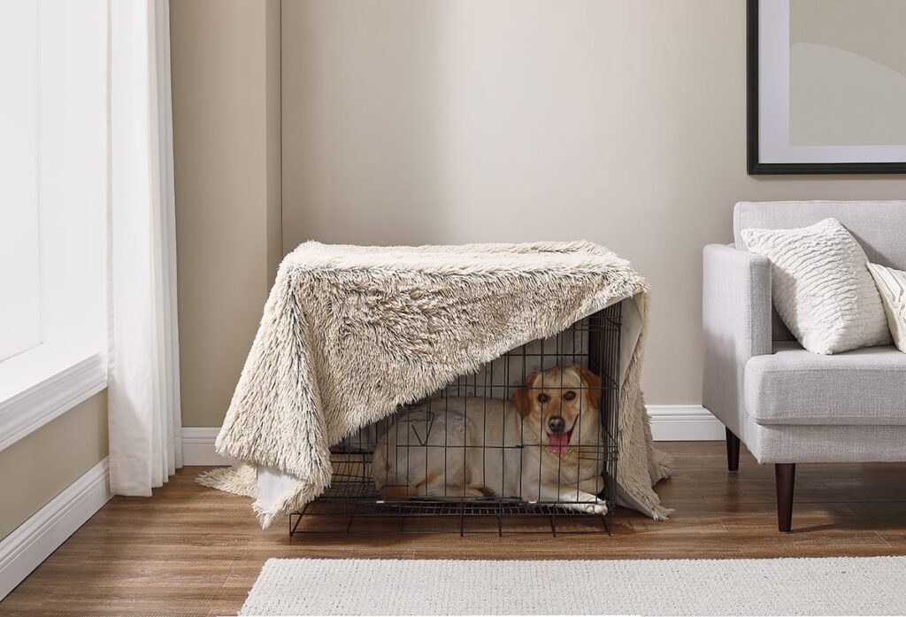 dog in crate covered with blanket