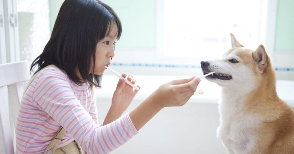 girl brushing a dogs teeth