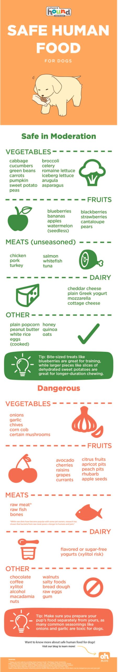 https://outwardhound.com/furtropolis/wp-content/uploads/2022/06/Safe-Human-Food-For-Dogs-Infographic-1-scaled.jpg