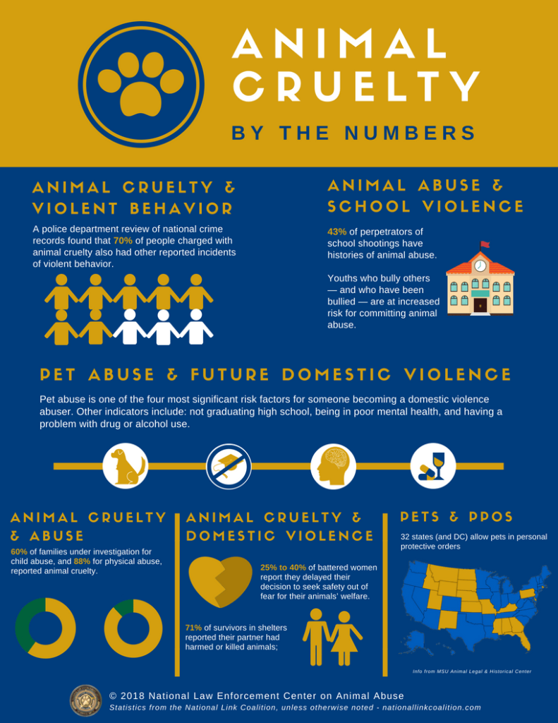 Types Of Animal Abuse And Neglect