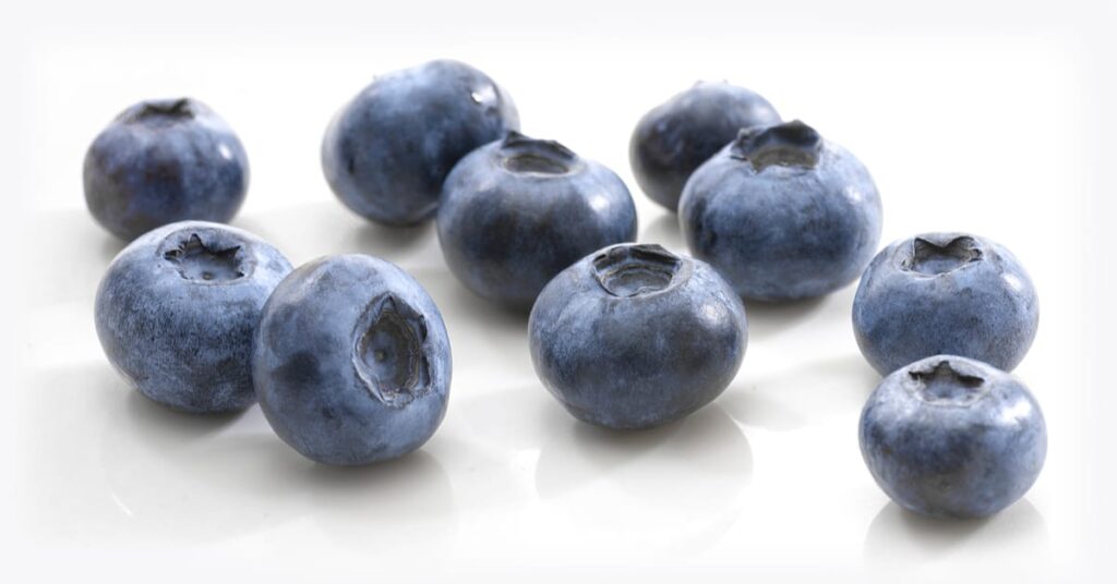 are blueberry toxic to dogs