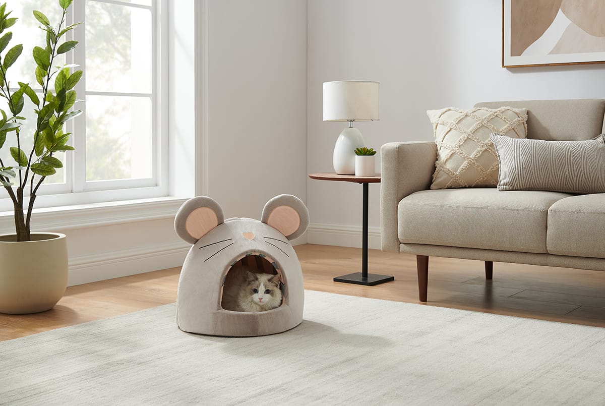 Enclosed Dog Beds for the Private Pooch