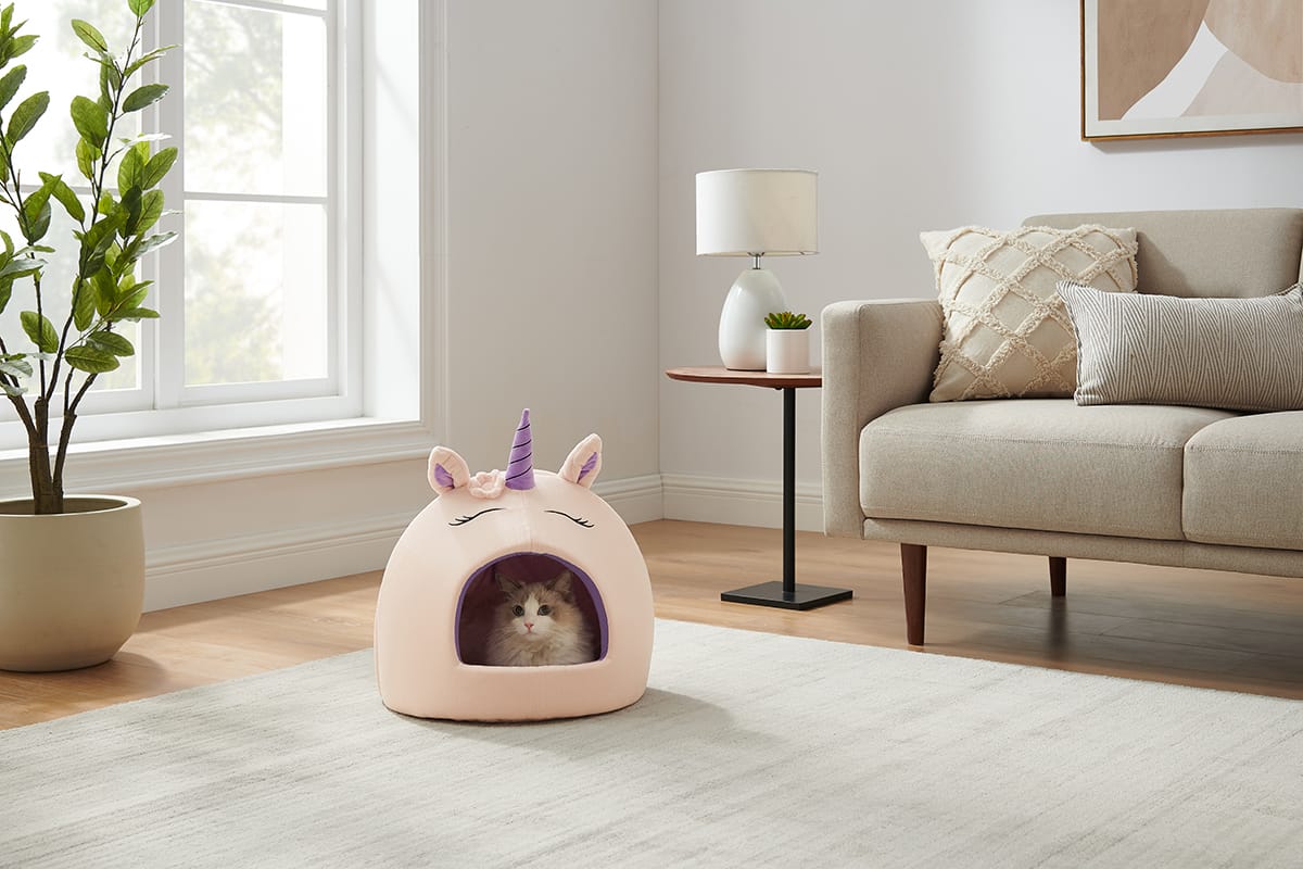 Why Do Cats Hide? Furtropolis