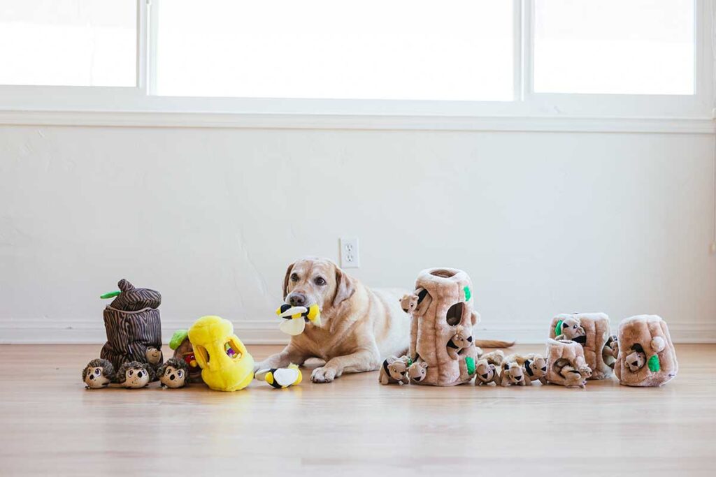 plush interactive dog toys