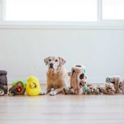 best toys for big dogs