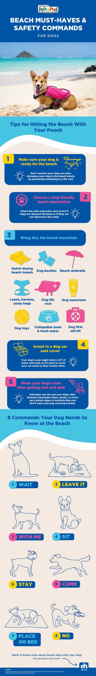 dog beach infographic